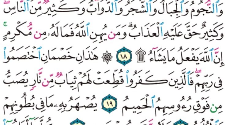 الورد اليومي سورة الحج من الاية 16 إلى الاية 23 “و كذلك أنزلناه ءايات بينات و أن الله يهدي من يريد”
