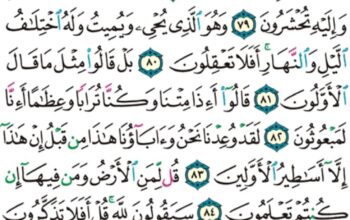 الورد اليومي سورة المؤمنون من الاية 75 إلى الاية 89 “و لو رحمناهم و كشفنا ما بهم من ضر للجوا في طغيانهم يعمهون”