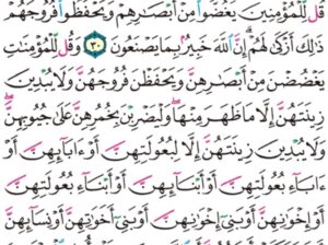 الورد اليومي سورة النور من الاية 28 إلى الاية 31 “فإن لم تجدوا فيها احد فلا تدخلوها حتى يؤذن لكم و إن قيل لكم ارجعوا فارجعوا هو ازكى لكم و الله بما تعملون عليم”