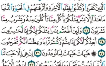 الورد اليومي سورة المؤمنون من الاية 28 إلى الاية 42 “فإذا استويت انت و معك على الفلك فقل الحمد لله الذي نجانا من القوم الظالمين”