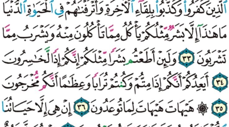 الورد اليومي سورة المؤمنون من الاية 28 إلى الاية 42 “فإذا استويت انت و معك على الفلك فقل الحمد لله الذي نجانا من القوم الظالمين”