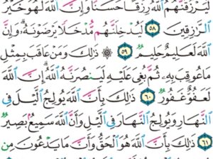 الورد اليومي سورة الحج من الاية 56 إلى الاية 64 “الملك يومئذ لله يحكم بينهم فاللذين ءامنوا و عملوا الصالحات في جنات النعيم”