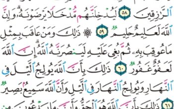 الورد اليومي سورة الحج من الاية 56 إلى الاية 64 “الملك يومئذ لله يحكم بينهم فاللذين ءامنوا و عملوا الصالحات في جنات النعيم”