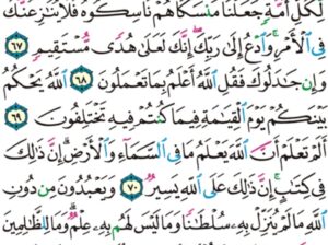 الورد اليومي سورة الحج من الاية 65 إلى الاية 72 “ألم تر أن الله سخر لكم ما في الأرض و الفلك تجري في البحر بأمره و يمسك السماء أن تقع على الأرض إلا بإذنه إن الله بالناس لرءوف رحيم”