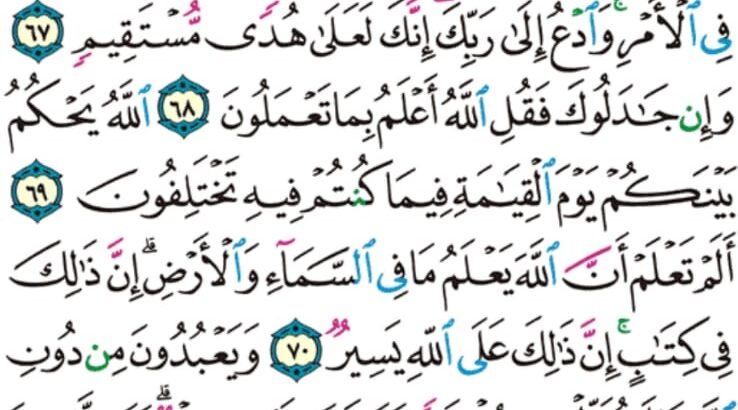 الورد اليومي سورة الحج من الاية 65 إلى الاية 72 “ألم تر أن الله سخر لكم ما في الأرض و الفلك تجري في البحر بأمره و يمسك السماء أن تقع على الأرض إلا بإذنه إن الله بالناس لرءوف رحيم”