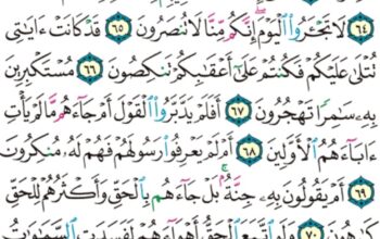 الورد اليومي سورة المؤمنون من الاية 60 إلى الاية 74 “و اللذين يؤتون ما ءاتوا و قلوبهم وجلة أنهم إلى ربهم راجعون”