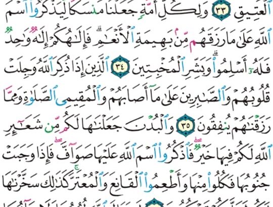 الورد اليومي سورة الحج من الاية 31 إلى الاية 38 “حنفاء لله غير مشركين به و من يشرك بالله فكأنما خر من السماء فتخطفه الطير أو تهوي به الريح في مكان سحيق”