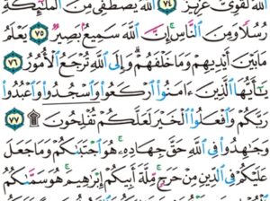 الورد اليومي سورة الحج من الاية 73 إلى الاية 78 “يا أيها الناس ضرب مثل فاستمعوا له إن اللذين تدعون من دون الله لن يخلقوا ذباباً و لو اجتمعوا لو إن يسلبهم الذباب شيئاً”