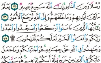 الورد اليومي سورة الحج من الاية 73 إلى الاية 78 “يا أيها الناس ضرب مثل فاستمعوا له إن اللذين تدعون من دون الله لن يخلقوا ذباباً و لو اجتمعوا لو إن يسلبهم الذباب شيئاً”