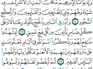 الورد اليومي سورة الحج من الاية 24 إلى الاية 30 “و هدوا إلى الطيب من القول و هدوا إلى صراط مستقيم”