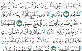 الورد اليومي سورة الحج من الاية 24 إلى الاية 30 “و هدوا إلى الطيب من القول و هدوا إلى صراط مستقيم”
