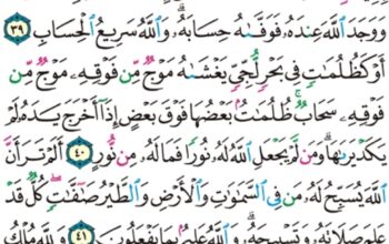 الورد اليومي سورة النور من الاية 37 إلى الاية 43 “رجال لا تلهيهم تجارة و لا بيع عن ذكر الله و إقام الصلاة و إيتاء الزكاة يخافون يوما تتقلب فيه القلوب و الأبصار”