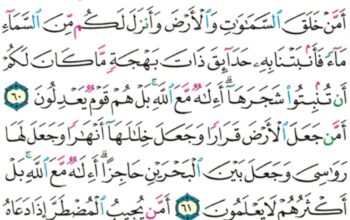 الورد اليومي سورة النمل من الاية 56 إلى الاية 63 “فما كان جواب قومه إلا أن قالوا أخرجوا آل لوط من قريتكم إنهم أناس يتطهرون”