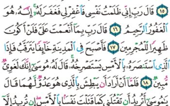 الورد اليومي سورة القصص من الاية 14 إلى الاية 21 “و لما بلغ أشده و استوى ءاتيناه حكماً و علماً و كذلك نجزي المحسنين”