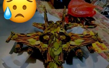 هذه الطائرة (قات F00) التي دمرت اليمن واقتصاده وقتلت أكثر الشعب اليمني وضيعت عليهم أوقاتهم وحقوقهم وبعثرت بأموالهم وأفسدت أخلاقهم ودمرت عليهم صحتهم وأخذتهم رحلات إلى عالم الرشوة و