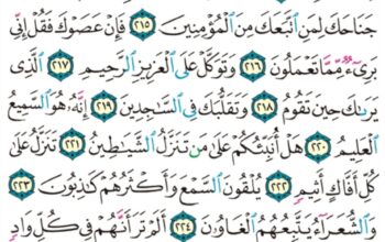 الورد اليومي سورة الشعراء من الاية 207 إلى الاية 227 ما أغنى عنهم ما كانوا يمتعون و ما أهلكنا من قرية إلا لها منذرون””