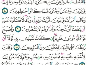 الورد اليومي سورة القصص من الاية 6 إلى الاية 13 “و نمكن لهم في الأرض و نري فرعون و هامان و جنودهما منهم ما كانوا يحذرون”