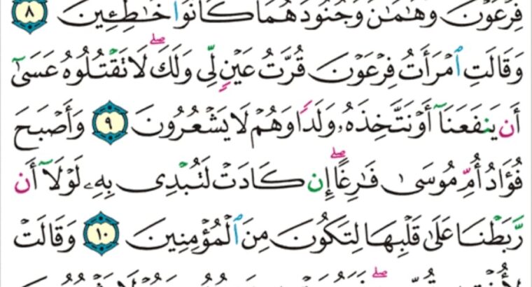 الورد اليومي سورة القصص من الاية 6 إلى الاية 13 “و نمكن لهم في الأرض و نري فرعون و هامان و جنودهما منهم ما كانوا يحذرون”