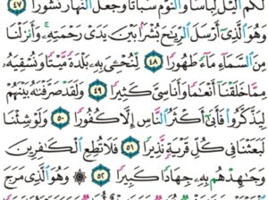 الورد اليومي سورة الفرقان من الاية 44 إلى الاية 55″أم تحسب أن أكثرهم يسمعون أو يعقلون إن هم إلا كالأنعام بل هم أضل سبيل”
