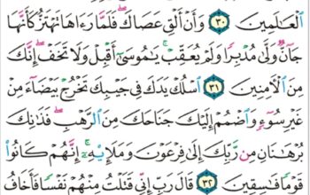 الورد اليومي سورة القصص من الاية 29 إلى الاية 35 “فلما قضى موسى الأجل و سار بأهله ءانس من جانب الطور ناراً قال لأهله امكثوا إني ءانست ناراً لعلي ءاتيكم منها بخبر أو جذوة من النار”