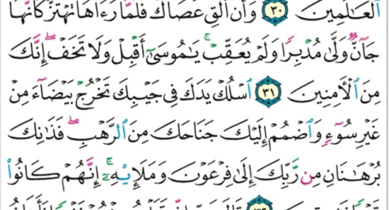 الورد اليومي سورة القصص من الاية 29 إلى الاية 35 “فلما قضى موسى الأجل و سار بأهله ءانس من جانب الطور ناراً قال لأهله امكثوا إني ءانست ناراً لعلي ءاتيكم منها بخبر أو جذوة من النار”