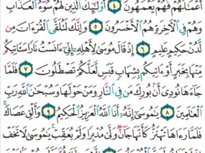 الورد اليومي سورة النمل من الاية 1 إلى الاية 13 “ط س تلك ءايات القرآن و كتاب مبين هدى و بشرى للمؤمنين اللذين يقيمون الصلاة و يؤتون الزكاة و هم بالآخرة هم يوقنون”