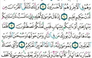 الورد اليومي سورة النمل من الاية 1 إلى الاية 13 “ط س تلك ءايات القرآن و كتاب مبين هدى و بشرى للمؤمنين اللذين يقيمون الصلاة و يؤتون الزكاة و هم بالآخرة هم يوقنون”