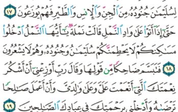 الورد اليومي سورة النمل من الاية 14 إلى الاية 22 “و جحدوا بها و أستيقنتها انفسهم ظلماً و علواً فانظر كيف كان عاقبة المفسدين “