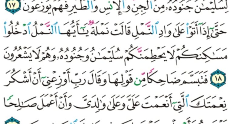 الورد اليومي سورة النمل من الاية 14 إلى الاية 22 “و جحدوا بها و أستيقنتها انفسهم ظلماً و علواً فانظر كيف كان عاقبة المفسدين “