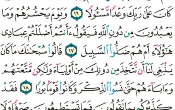 الورد اليومي سورة الفرقان من الاية 12 إلى الاية 20 “إذا رأتهم من مكان بعيد سمعوا لها تغيضاً و زفيراً”