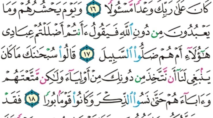 الورد اليومي سورة الفرقان من الاية 12 إلى الاية 20 “إذا رأتهم من مكان بعيد سمعوا لها تغيضاً و زفيراً”