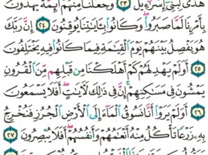 الورد اليومي سورة السجدة من الاية 21 إلى الاية 30 “و لنذيقنهم من العذاب الأدنى دون العذاب الأكبر لعلهم يرجعون”