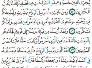 الورد اليومي سورة الروم من الاية 42 إلى الاية 50 “قل سيروا في الأرض فانظروا كيف كان عاقبة من قبل كان أكثرهم مشركين”