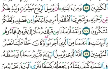 الورد اليومي سورة الروم من الاية 42 إلى الاية 50 “قل سيروا في الأرض فانظروا كيف كان عاقبة من قبل كان أكثرهم مشركين”
