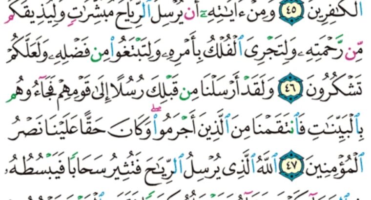 الورد اليومي سورة الروم من الاية 42 إلى الاية 50 “قل سيروا في الأرض فانظروا كيف كان عاقبة من قبل كان أكثرهم مشركين”