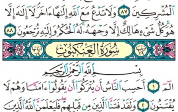 الورد اليومي سورة العنكبوت من الاية 1 إلى الاية 6 “ا ل م أحسب أن يتركوا أن يقولوا ءامنا و هم لا يفتنون”