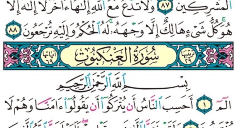 الورد اليومي سورة العنكبوت من الاية 1 إلى الاية 6 “ا ل م أحسب أن يتركوا أن يقولوا ءامنا و هم لا يفتنون”