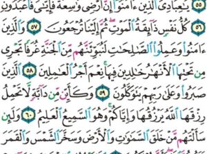 الورد اليومي سورة العنكبوت من الاية 53 إلى الاية 63 “و يستعجلونك بالعذاب و لولا أجل مسمى لجاءهم العذاب و ليأتينهم بغتةً و هم لا يشعرون “
