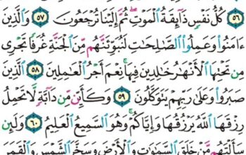 الورد اليومي سورة العنكبوت من الاية 53 إلى الاية 63 “و يستعجلونك بالعذاب و لولا أجل مسمى لجاءهم العذاب و ليأتينهم بغتةً و هم لا يشعرون “