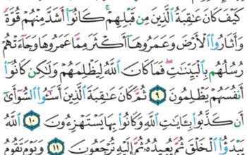 الورد اليومي سورة الروم من الاية 6 إلى الاية 15 “وعد الله لا يخلف الله وعده و لكن أكثر الناس لا يعلمون”