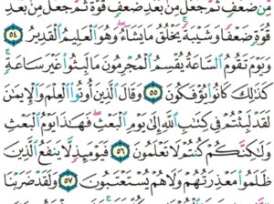 الورد اليومي سورة الروم من الاية 51 إلى الاية 60 “و لئن أرسلنا ريحاً فرأوه مصفراً لظلوا من بعده يكفرون”