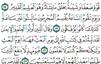 الورد اليومي سورة الروم من الاية 51 إلى الاية 60 “و لئن أرسلنا ريحاً فرأوه مصفراً لظلوا من بعده يكفرون”