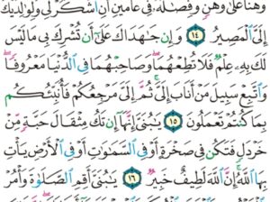 الورد اليومي سورة لقمان من الاية 12 إلى الاية 19 “و لقد ءاتينا لقمان الحكمة أن اشكر لله و من يشكر فإنما يشكر لنفسه و من كفر فإن الله غني حميد”