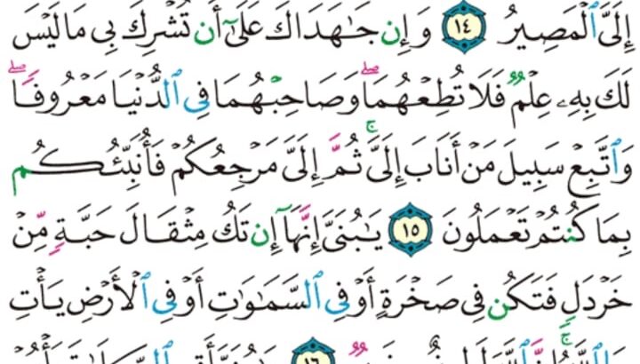 الورد اليومي سورة لقمان من الاية 12 إلى الاية 19 “و لقد ءاتينا لقمان الحكمة أن اشكر لله و من يشكر فإنما يشكر لنفسه و من كفر فإن الله غني حميد”