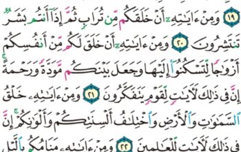 الورد اليومي سورة الروم من الاية 16 إلى الاية 24 “و أما اللذين كفروا و كذبوا بأياتنا و لقاء الأخرة فأولئك في العذاب محضرون”