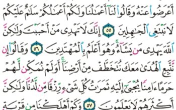 الورد اليومي سورة القصص من الاية 51 إلى الاية 59 “و لقد وصلنا لهم القول لعلهم يتذكرون اللذين ءاتيناهم الكتاب من قبله هم به يهتدون”