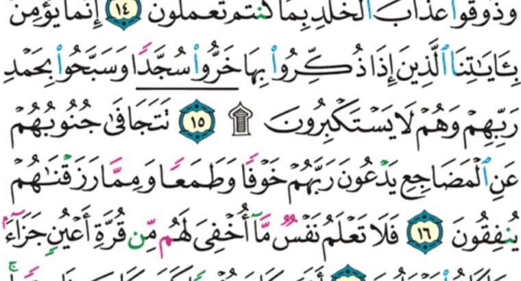 الورد اليومي سورة السجدة من الاية 12 إلى الاية 20 “و لو ترى إذ المجرمون ناكسوا رؤوسهم عند ربهم ربنا أبصرنا و سمعنا فارجعنا نعمل صالحاً إنا موقنون”