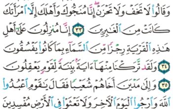 الورد اليومي سورة العنكبوت من الاية 31 إلى الاية 38 “و لما جاءت رسلنا إبراهيم بالبشرى قالوا إن مهلكوا أهل هذه القرية إن أهلها كانوا ظالمين”