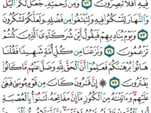 الورد اليومي سورة القصص من الاية 60 إلى الاية 77 “و ما أتيتم من شيء فمتاع الحياة الدنيا و زينتها و ما عند الله خير و أبقى”