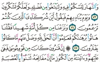الورد اليومي سورة القصص من الاية 60 إلى الاية 77 “و ما أتيتم من شيء فمتاع الحياة الدنيا و زينتها و ما عند الله خير و أبقى”